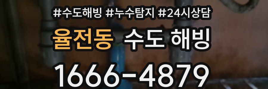 율전동 수도 해빙