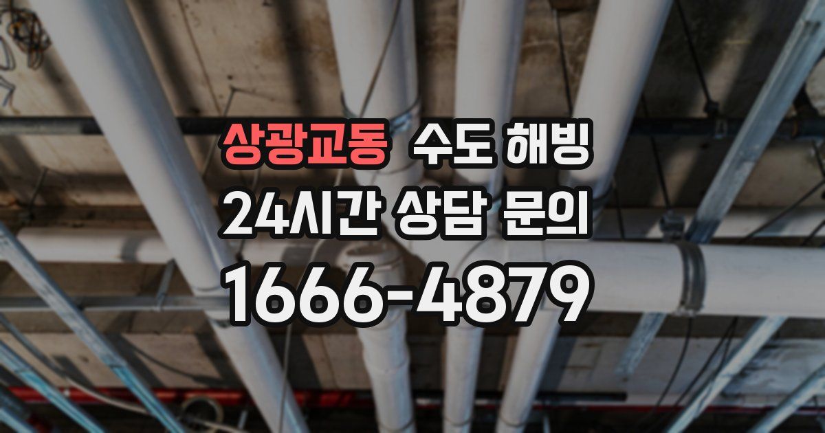 상광교동 수도 해빙