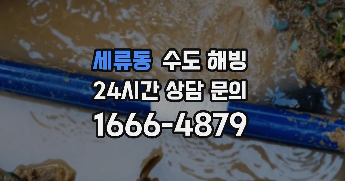 세류동 수도 해빙