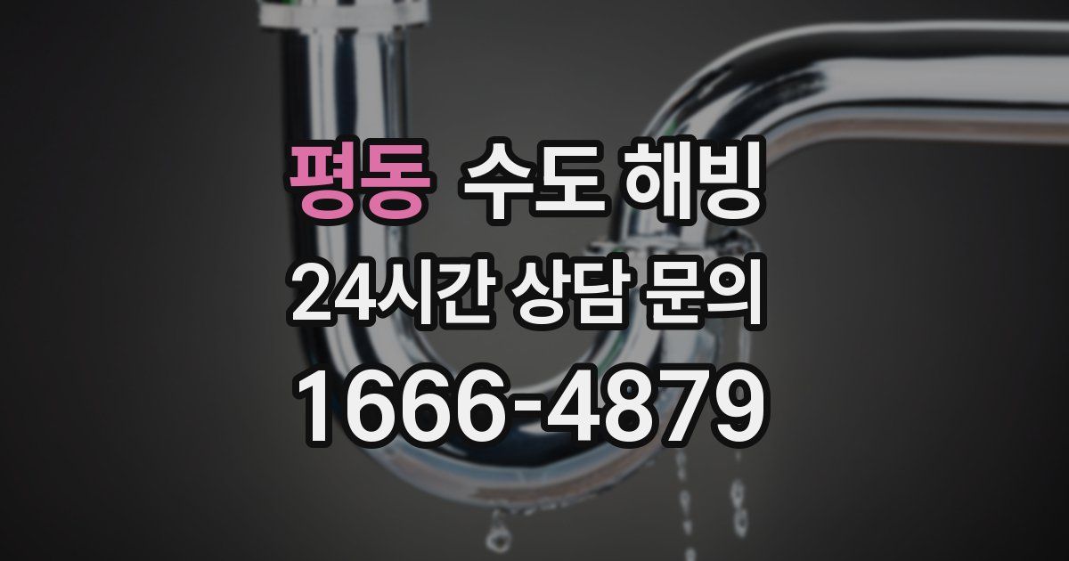 평동 수도 해빙