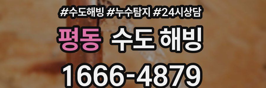 평동 수도 해빙