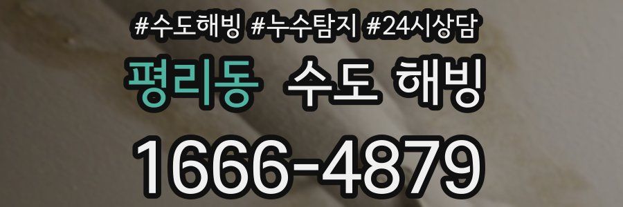 평리동 수도 해빙