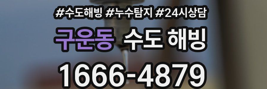 구운동 수도 해빙