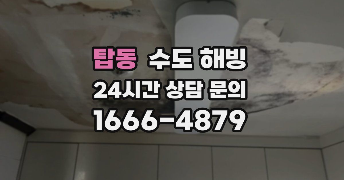 탑동 수도 해빙