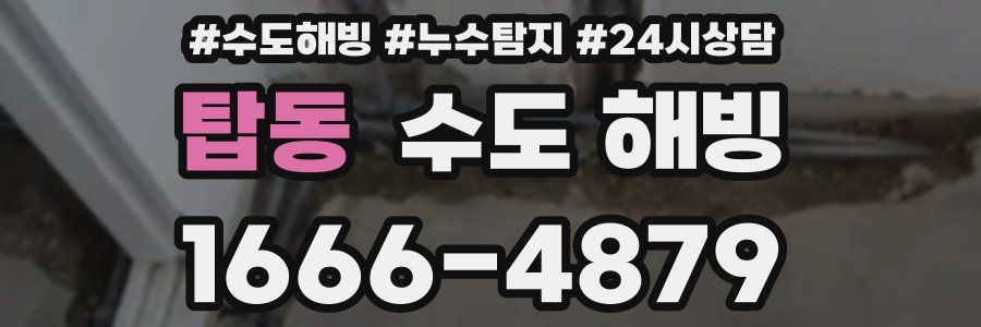 탑동 수도 해빙