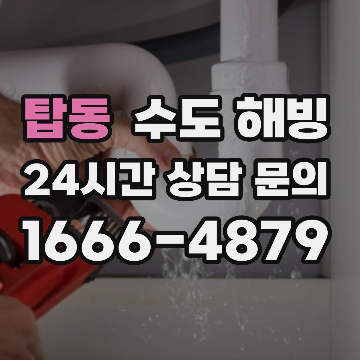 탑동 수도 해빙