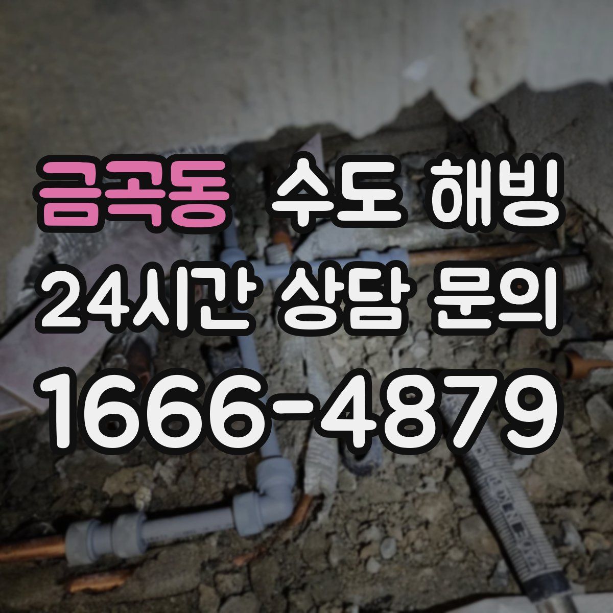 금곡동 수도 해빙