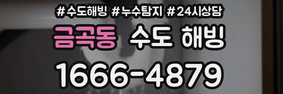 금곡동 수도 해빙