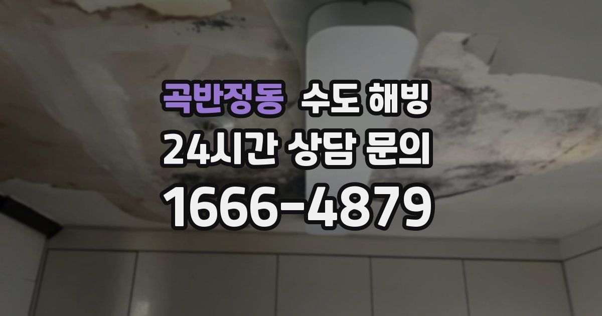 곡반정동 수도 해빙