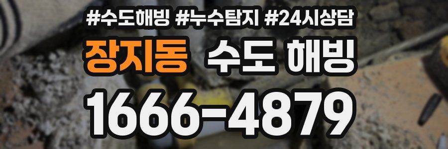 장지동 수도 해빙