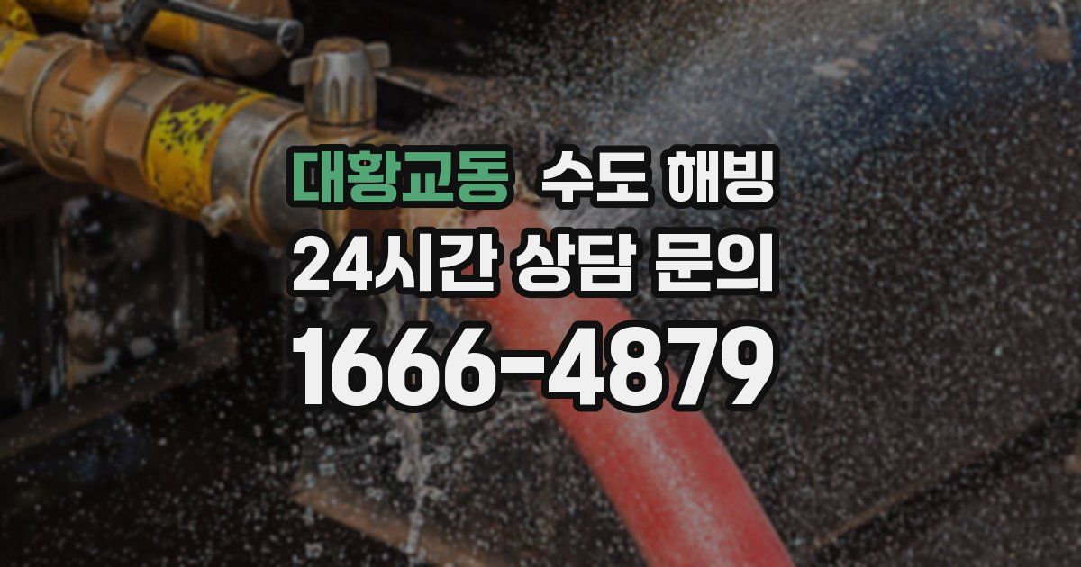 대황교동 수도 해빙