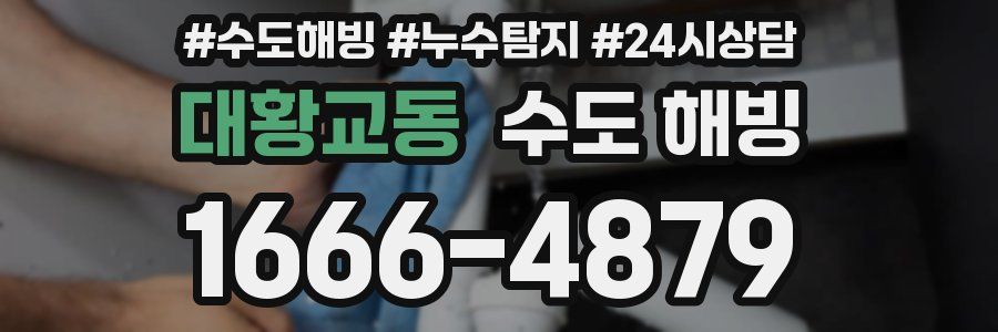 대황교동 수도 해빙