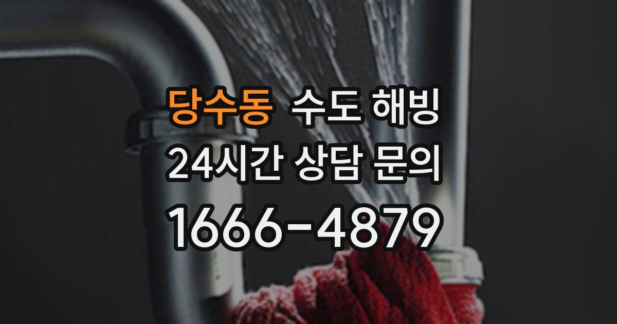 당수동 수도 해빙