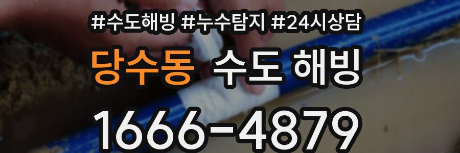 당수동 수도 해빙