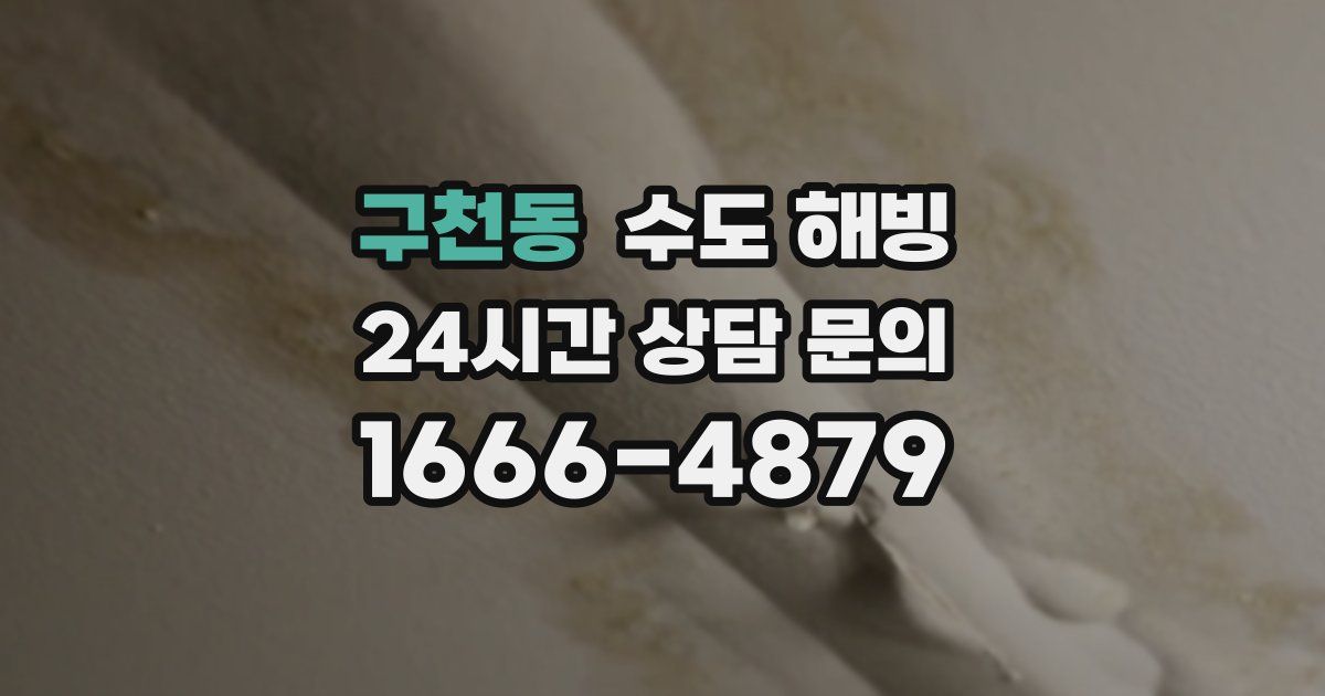 구천동 수도 해빙