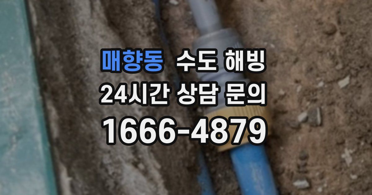 매향동 수도 해빙