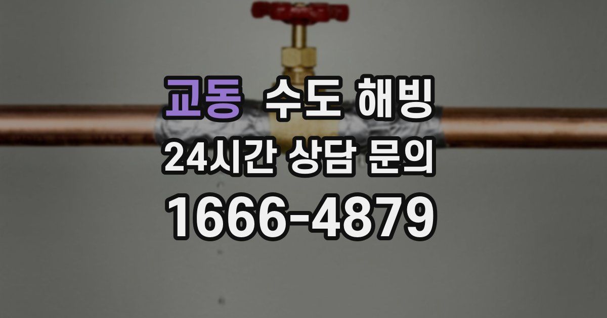 교동 수도 해빙