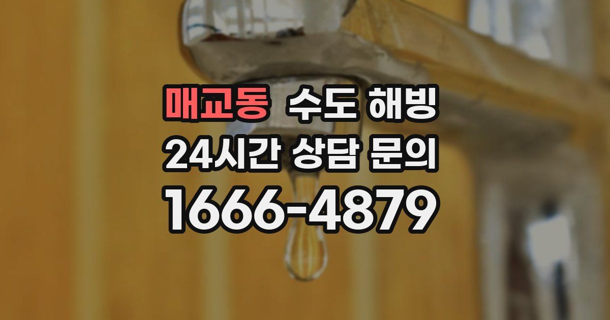 매교동 수도 해빙