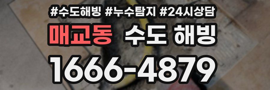 매교동 수도 해빙