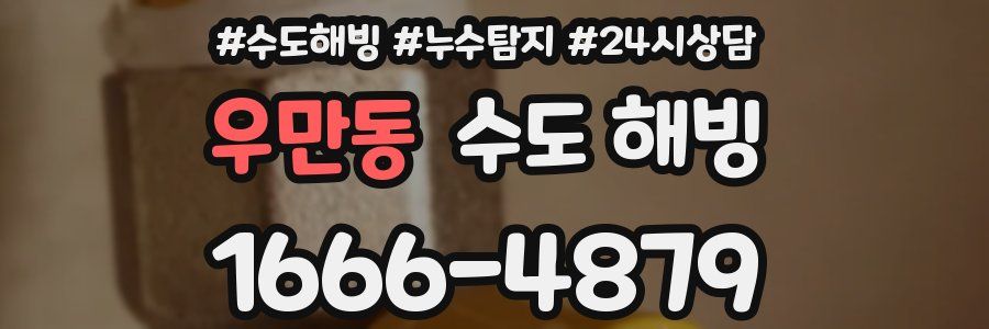 우만동 수도 해빙