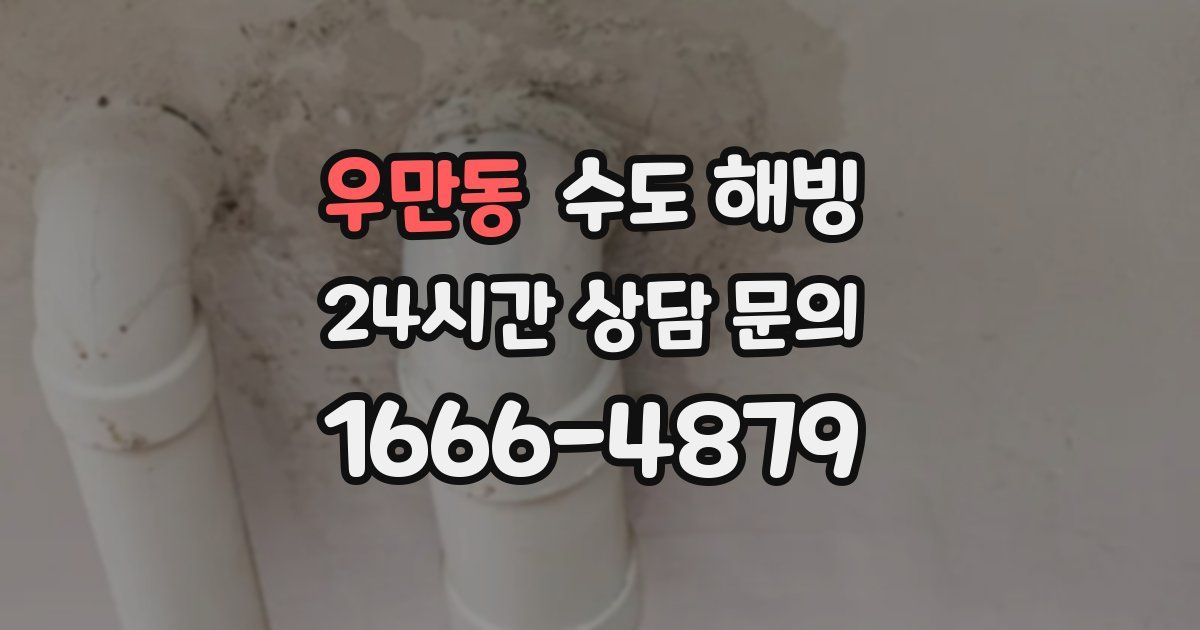 우만동 수도 해빙