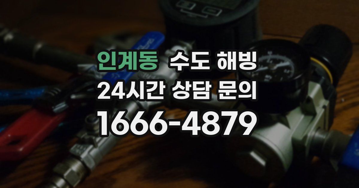 인계동 수도 해빙