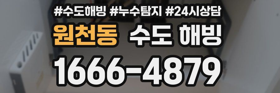 원천동 수도 해빙