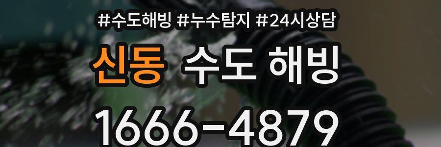 신동 수도 해빙