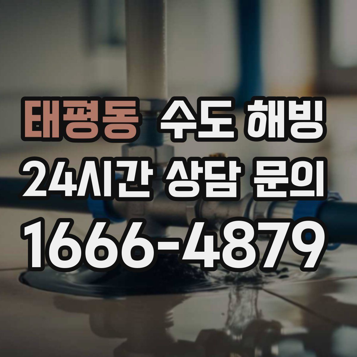 태평동 수도 해빙