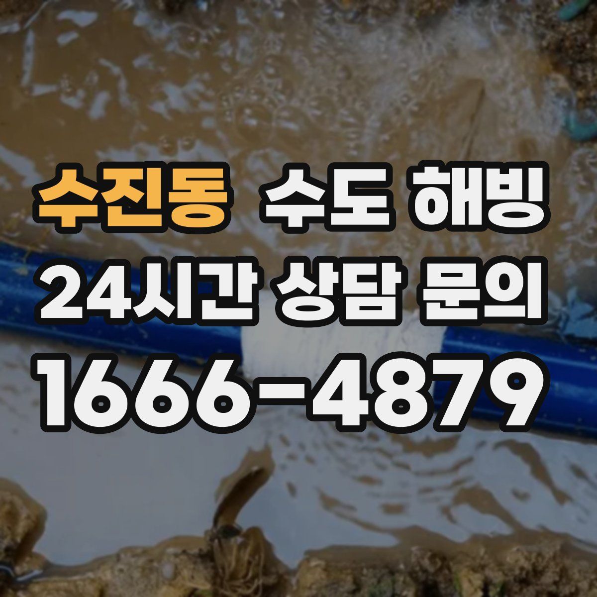 수진동 수도 해빙