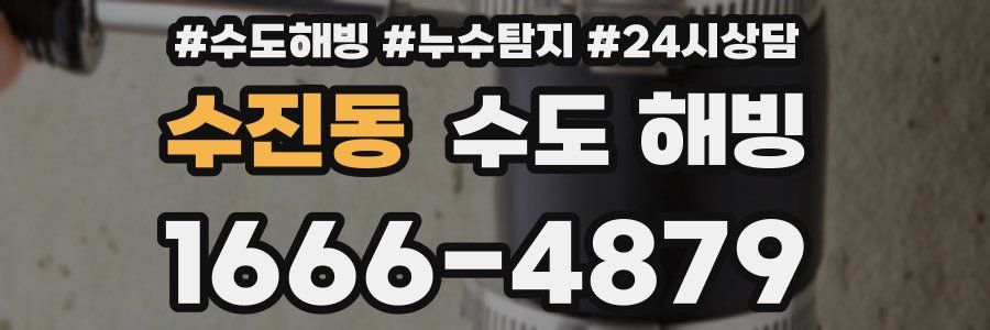 수진동 수도 해빙
