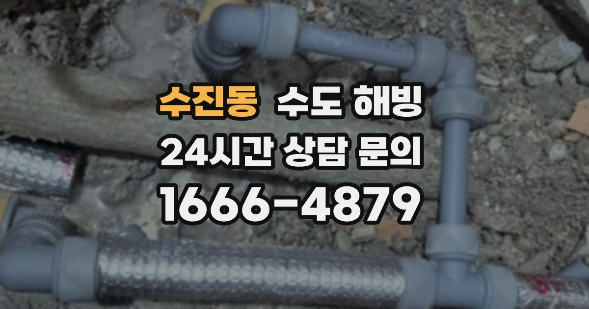 수진동 수도 해빙