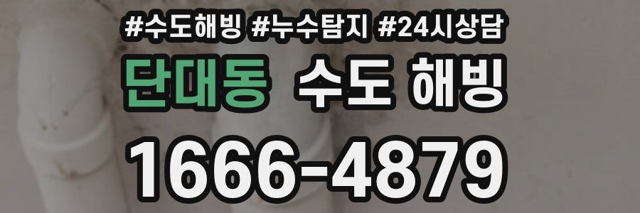 단대동 수도 해빙