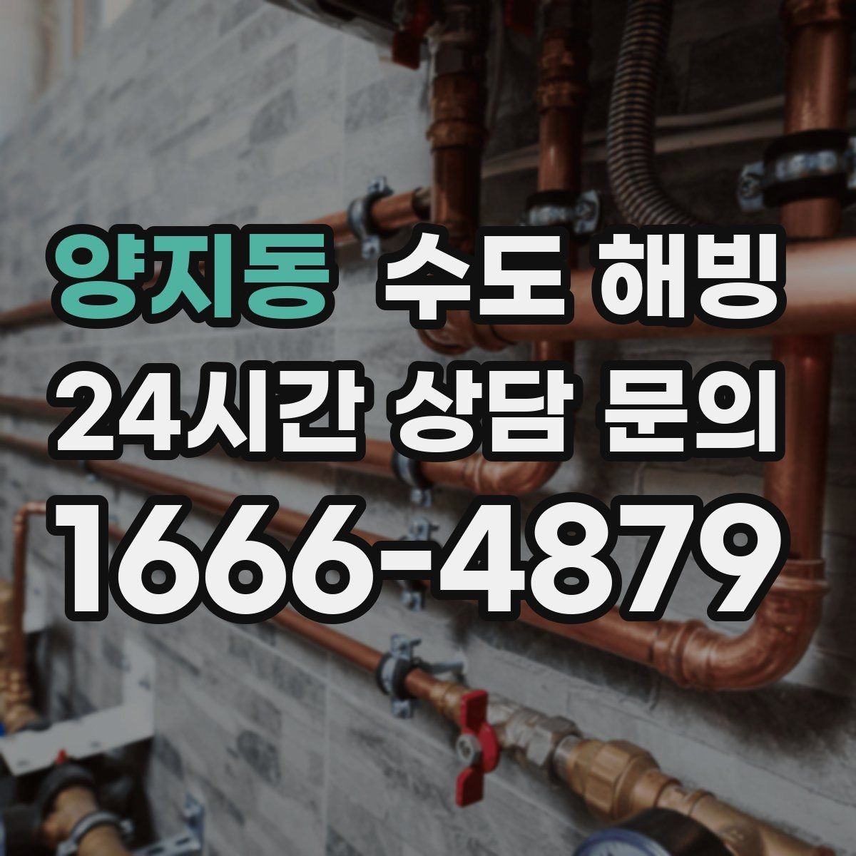 양지동 수도 해빙 정수기 라인이 얼었을 때 대처 포인트