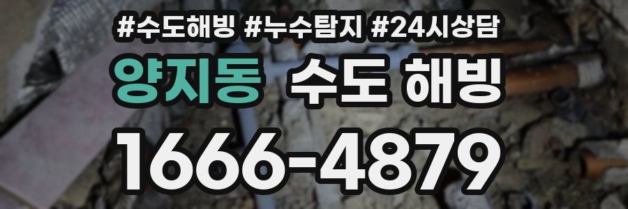 양지동 수도 해빙