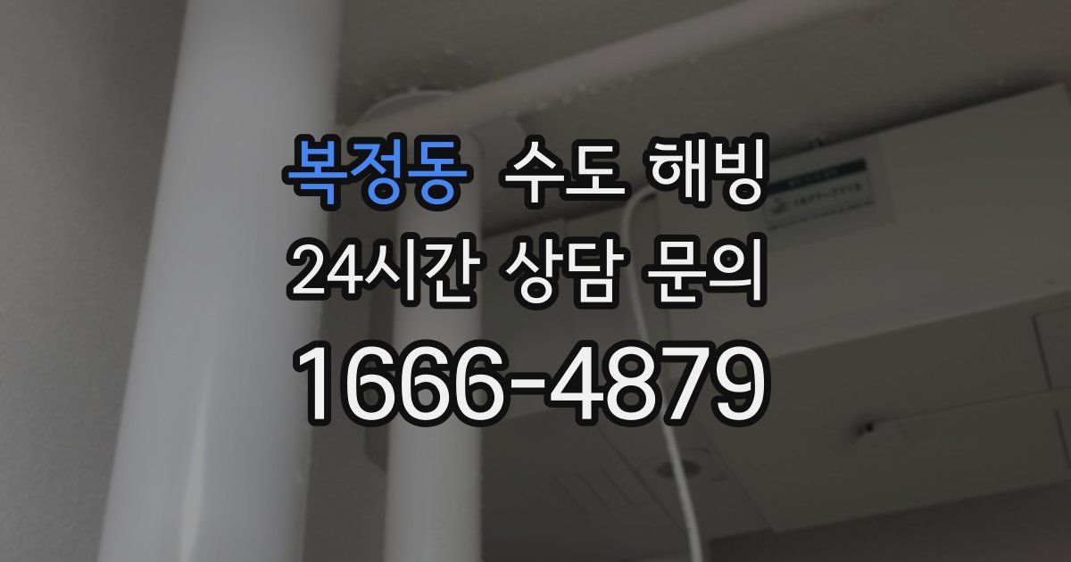 복정동 수도 해빙