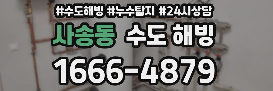 사송동 수도 해빙