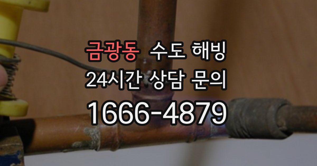 금광동 수도 해빙