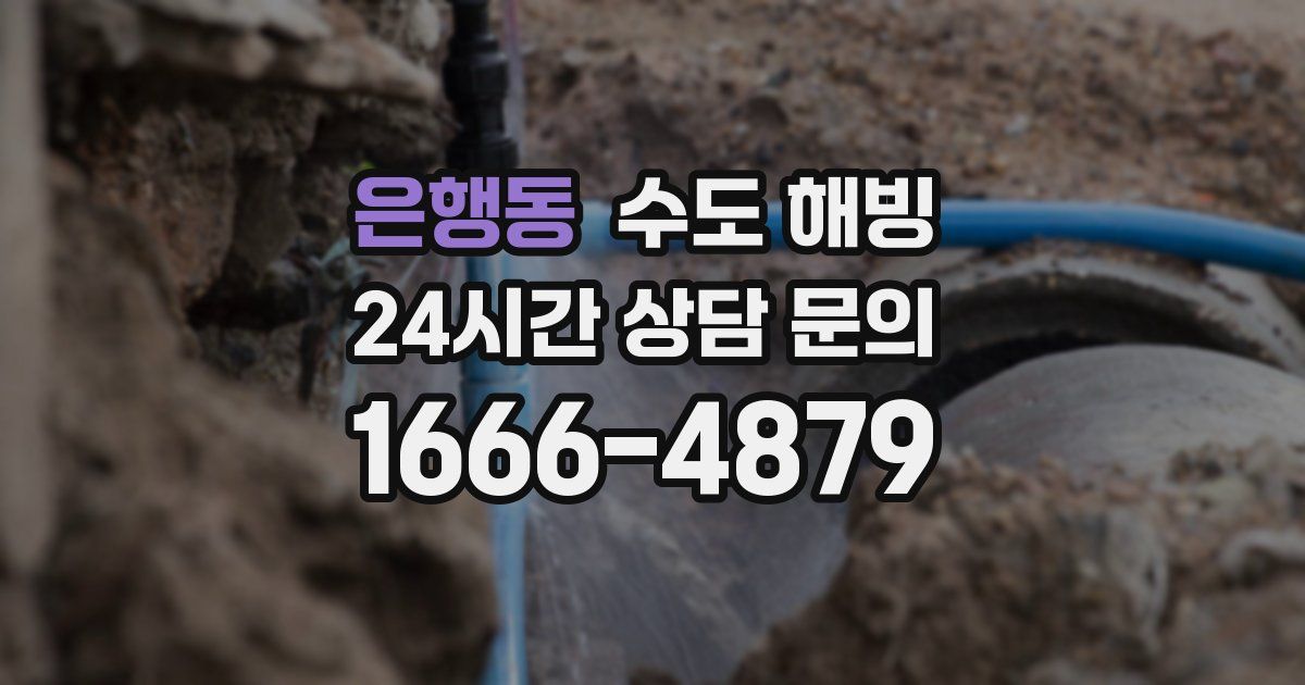 은행동 수도 해빙