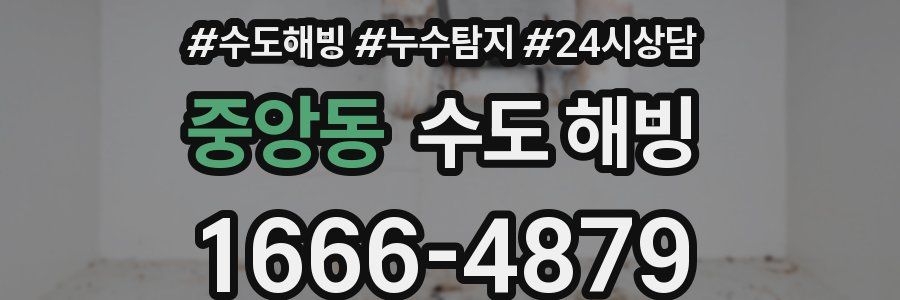 중앙동 수도 해빙