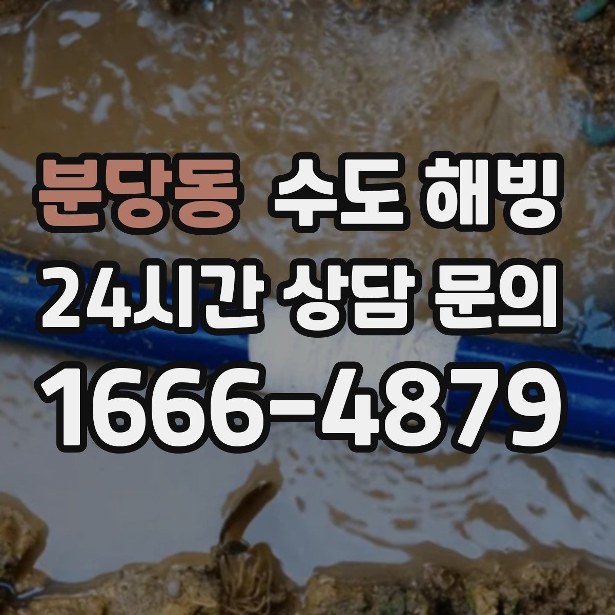 분당동 수도 해빙