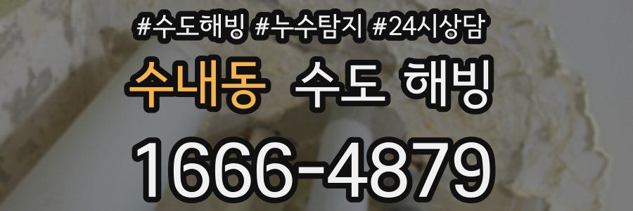 수내동 수도 해빙