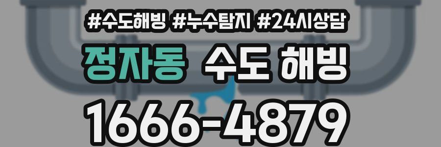 정자동 수도 해빙