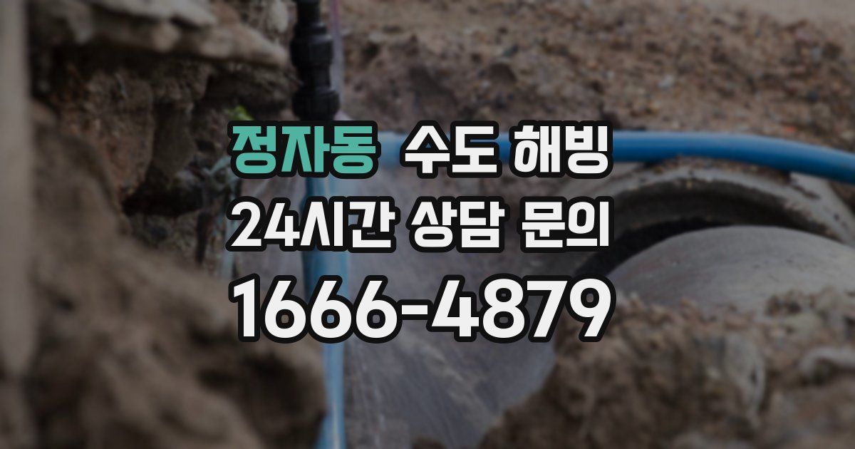 정자동 수도 해빙