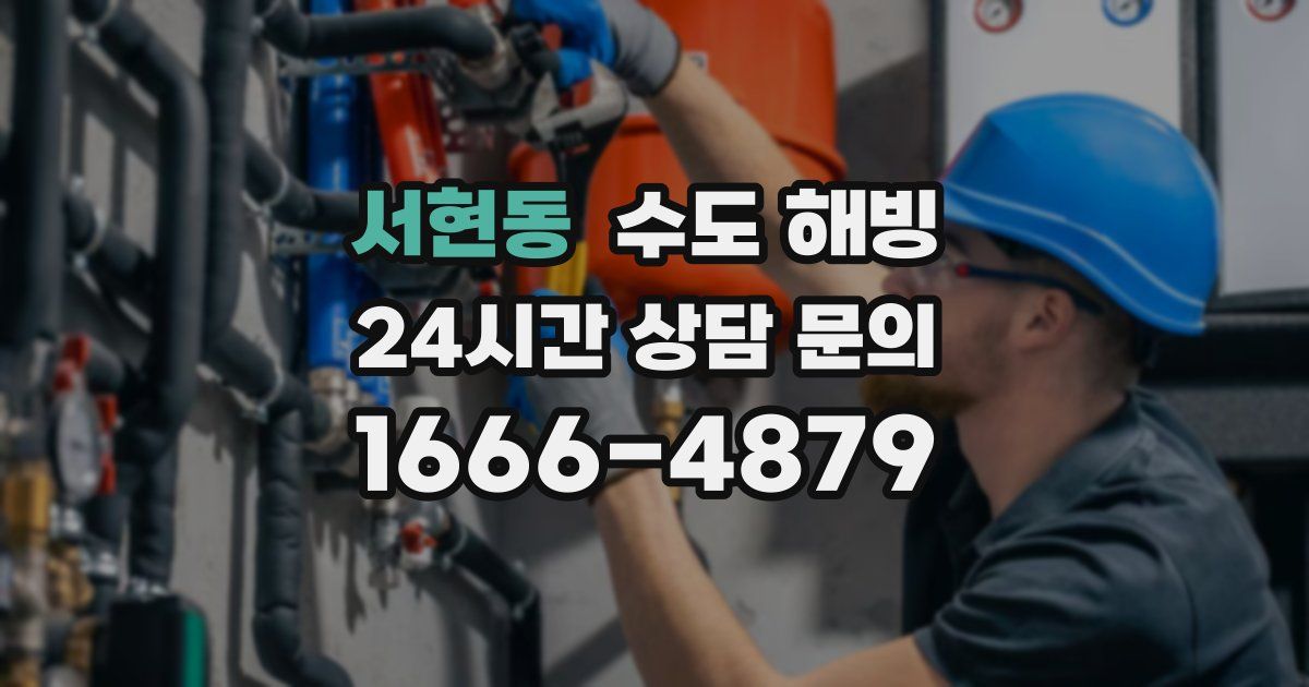 서현동 수도 해빙