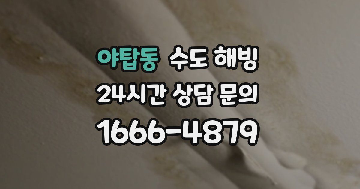 야탑동 수도 해빙