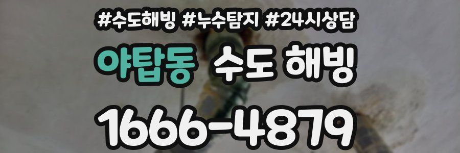 야탑동 수도 해빙
