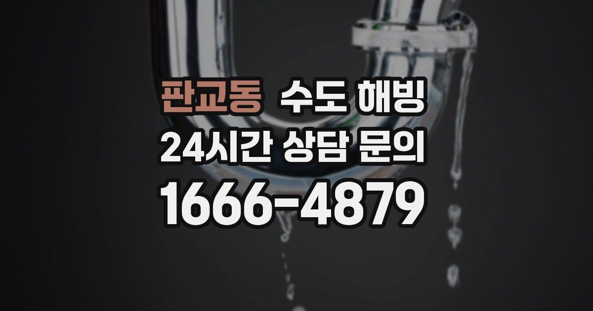 판교동 수도 해빙
