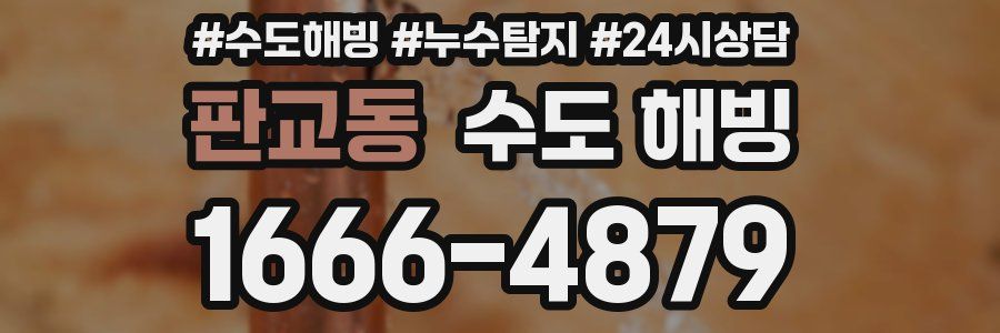 판교동 수도 해빙