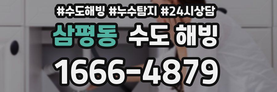 삼평동 수도 해빙